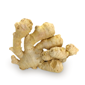 Ginger PNG-16775